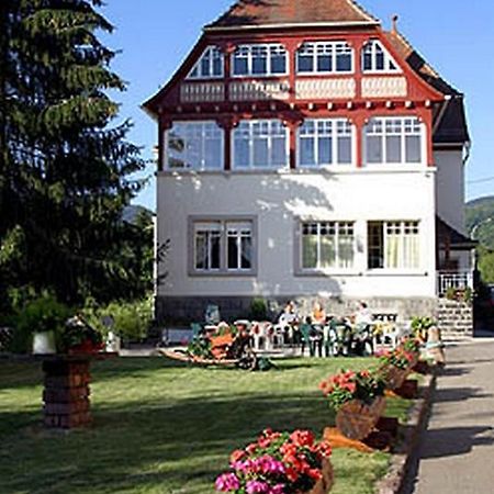 Villa Du Sendenbach Muhlbach-sur-Munster المظهر الخارجي الصورة